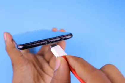 Casino Dogs Fortune Mobiele App